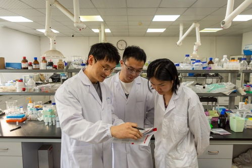 湖北大学巧破亚麻籽油“苦味难关” 耦合脱苦技术重塑健康油脂风味
